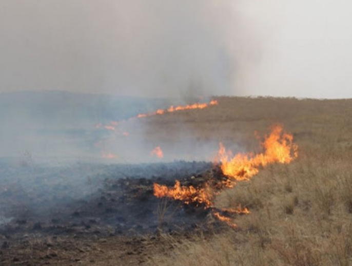 Ой хээрийн түймэр тавьсан хэргийг шүүхээр шийдвэрлүүлжээ